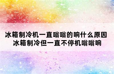 冰箱制冷机一直嗡嗡的响什么原因 冰箱制冷但一直不停机嗡嗡响